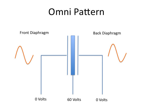 Omni Pattern capsules